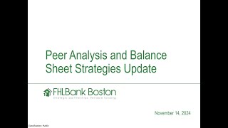Peer Analysis and Balance Sheet Strategies Update November 2024