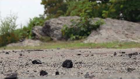 Brahman Jaisi Koi Jaat Nahin new video ful song