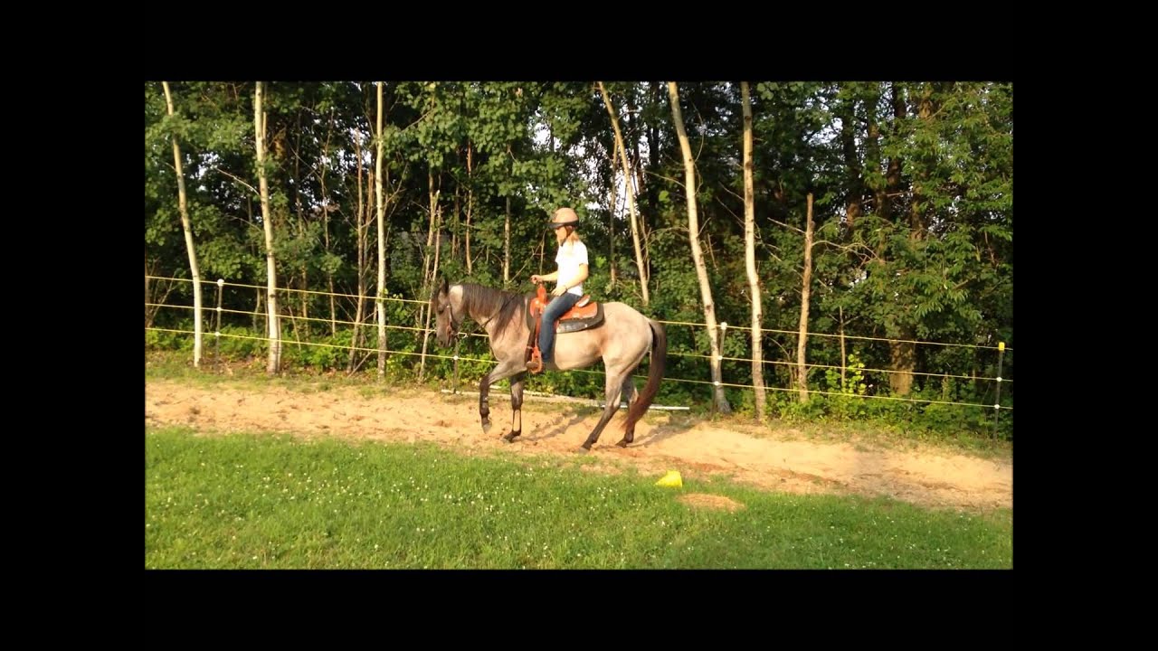 Blue's acceptance video for Findlay