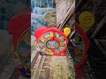 Laugh Learn See N Say Educational Learning Animals Youtubeshorts Laugh Learn See N Say Educational Learning Animals Youtubeshorts