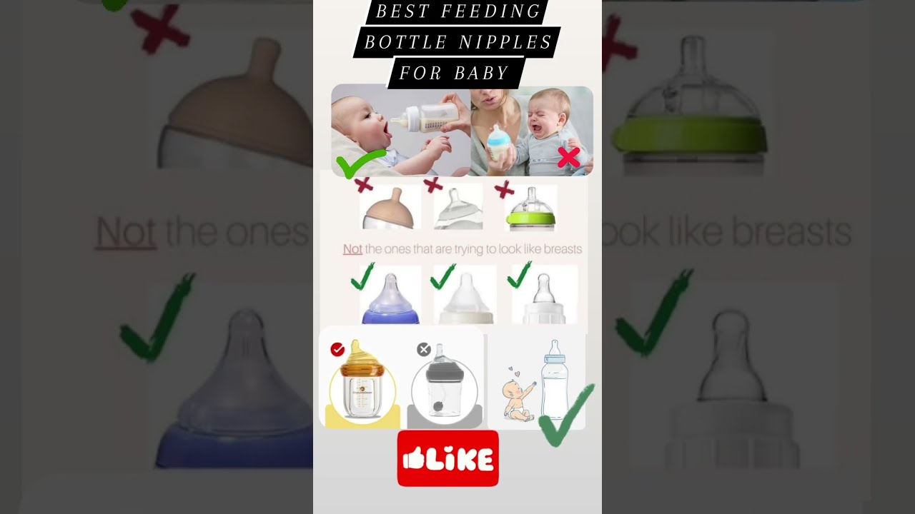 Best Feeding Bottles For Baby Shortsfeed Viral Youtubeshorts Share Shorts Short Shots