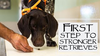 Teach Your Dog To Fetch  Trained Retrieve Step 1  Getting Comfortable On The Table