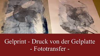 Gelprint  Gelatinedruck  Fototransfer mit der Gelprintplatte  Gelliprint Geldruck