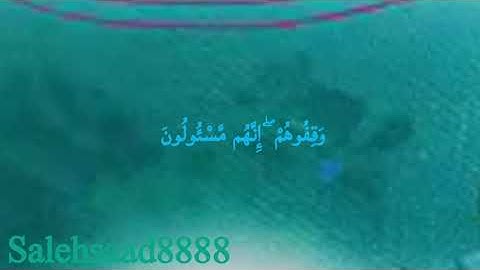 من سورة الصافات  ﴿وَقِفوهُم إِنَّهُم مَسئولونَ﴾ الآية ( ٢٤ -٢٦ )