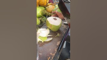 Best Machetes for Coconut Opening: A Practical Comparison