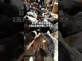 【東北旅】100匹以上の猫様が暮らす島、ガチで猫様だらけだった件😎