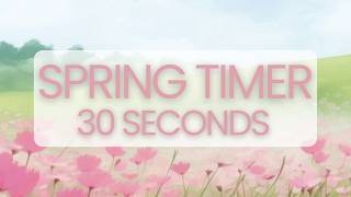 Celebrity 30 Second Timer 🌸 | Classroom Countdown | Spring Timer Profile