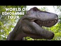  live at the zoo world of dinosaurs