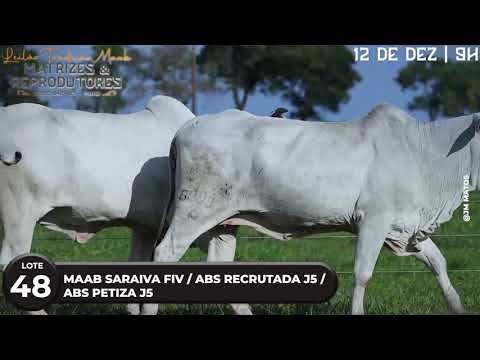 LOTE 48   ABS A6890 7503 MAB 2201