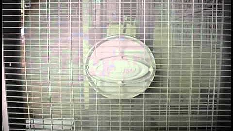 strobe light on a fan