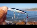 con este SEÑUELO capture diversas especies||pesca con JIGS desde orilla