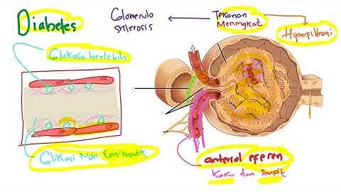 Patofisiologi - Penyakit Ginjal Kronis (PGK) / Chronic kidney disease (CKD)