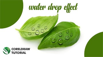 CorelDraw Tutorial how to create water drop effect 2023?