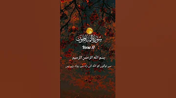 Surah Al Munafiqoon سورة المنافقون Surah Munafiqoon Only Urdu Translation Quran Allah 