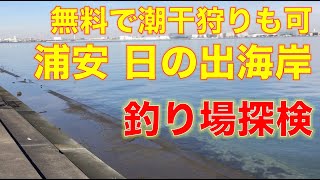 無料で潮干狩りもできる！浦安日の出海岸 釣り場探検