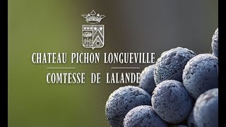 Château Pichon-Longueville Comtesse de Lalande Pronunciation - Best of 1855 Bordeaux Wine