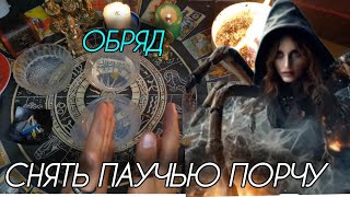 Обряд убираем паучью порчу🔥срочно смотри⚠️⚠️⚠️гадание таро магия