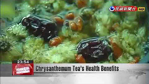 Chrysanthemum Tea’s Health Benefits - DayDayNews