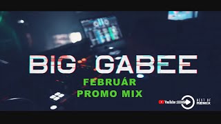 A Legújabb Party Mix 2023. (FEBRUARY) Mixed By BIG GABEE
