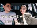 WE GOT A KITTEN TOGETHER! (+ mini kitten haul) | VLOG