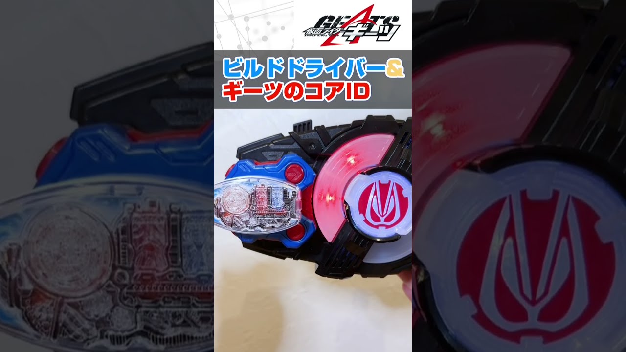 レイズバックルまとめ売りセット - メルカリ
