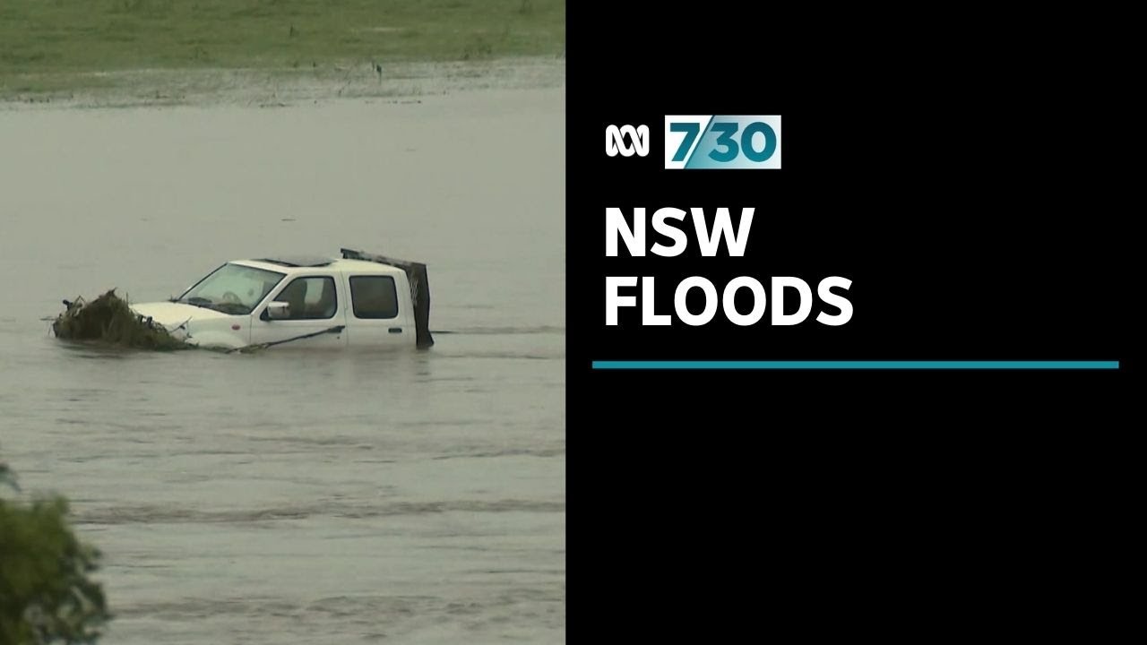Floods leave farmers devastated on NSW Mid-North Coast | 7.30 - YouTube