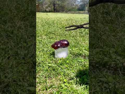 معقول يطلع الثلج أقوة من النار