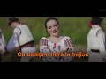 Luciana Spînu - Batistuța - Karaoke