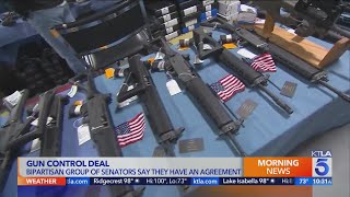 Celebrity Senators announce bipartisan agreement on gun proposals Net Worth