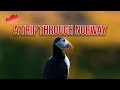 A TRIP THROUGH NORWAY Trailer || Wildlife Photography, Nikon Z6, Road Trip