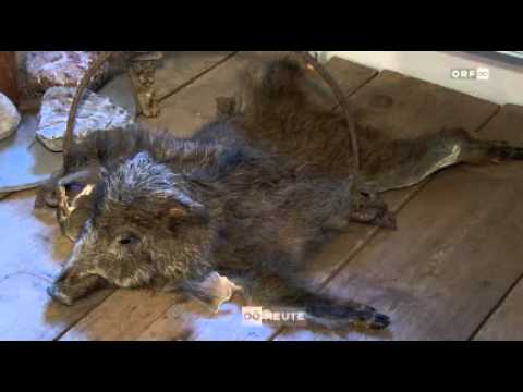 Wildererdrama Von Pius Walder Im Wilderermuseum St Pankraz Youtube