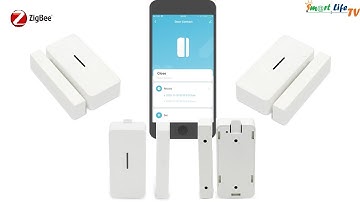 Cảm biến cửa cao cấp pin AAA Tuya Smart Life hệ Zigbee