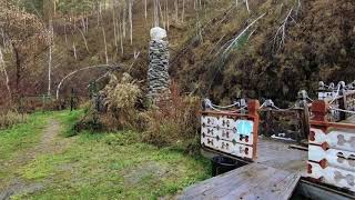 Сад Пионов Горный Алтай в 4К  Garden of Peonies Mountain Altai in 4K