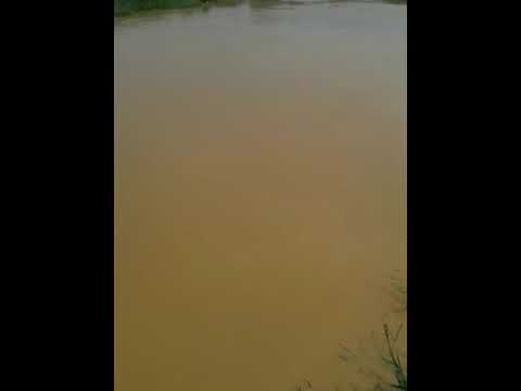 فيضان نهر العاصي  القصير