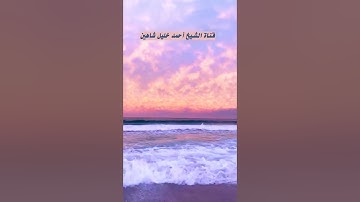 (ومن الناس من يعجبك قوله في الحياة الدنيا) تلاوة مباركة من سورة البقرة الشيخ أحمد خليل شاهين