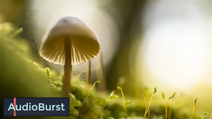 Magic Mushrooms Can Treat Depression, Study Finds