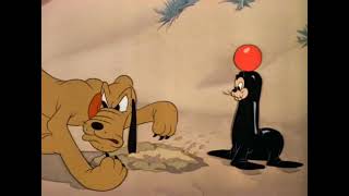 Pluto - Pluto's Playmate - 1941