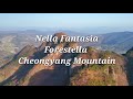 🎼 Nella Fantasia(Forestella) Cheongnyangsan Mountain,Korea