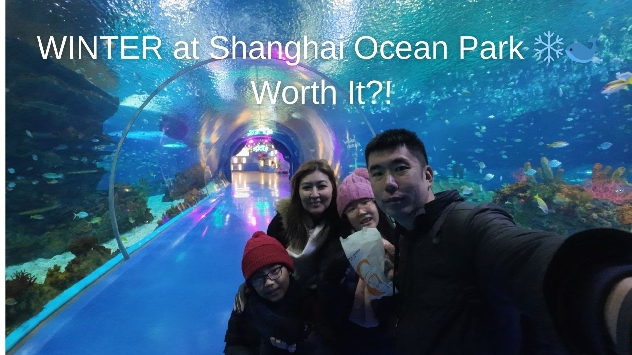 Shanghai Haichang Ocean Park (上海海昌海洋公园) in Winter ❄️🐋 | Family of 4 Trip Jan 2026