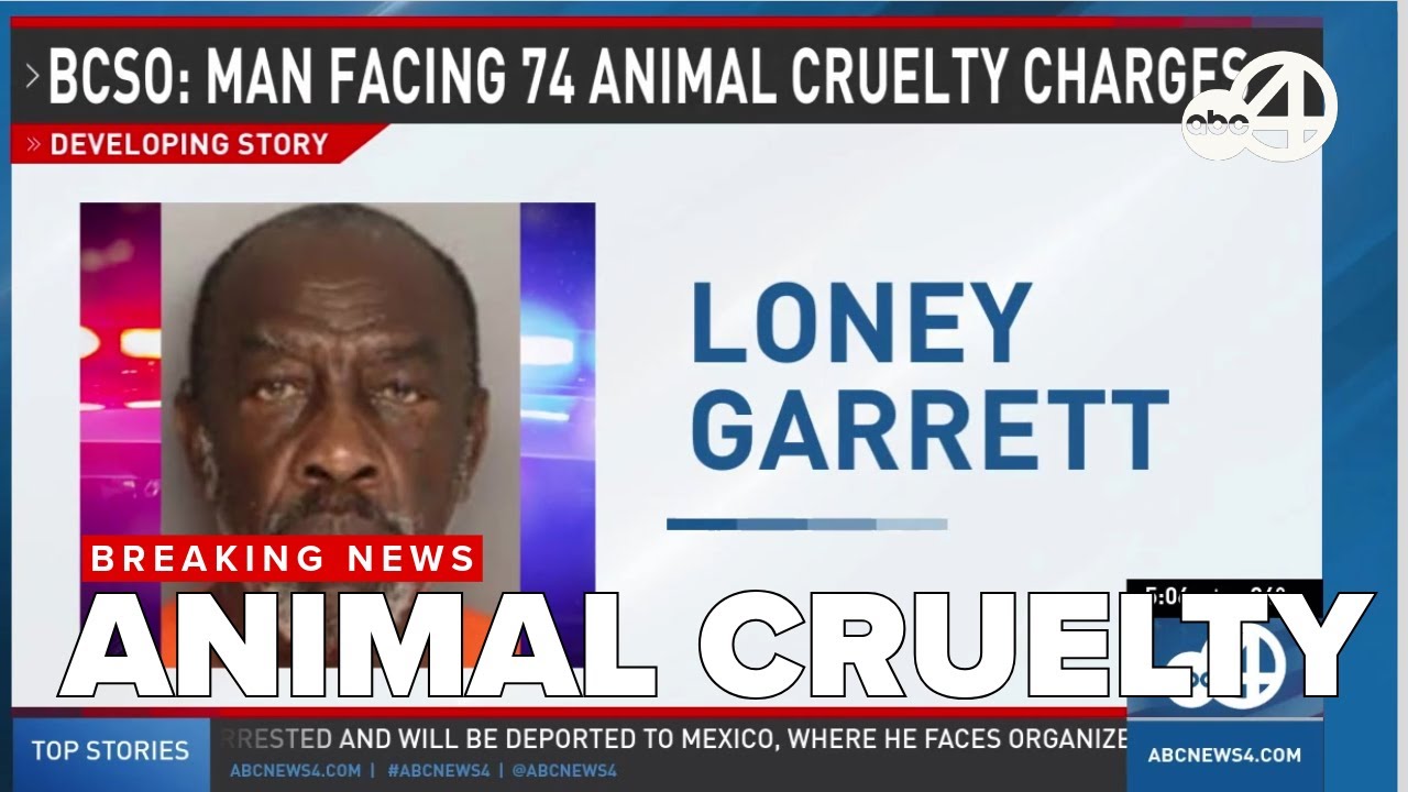 South Carolina man faces 74 animal cruelty charges after 35 dogs seized ...