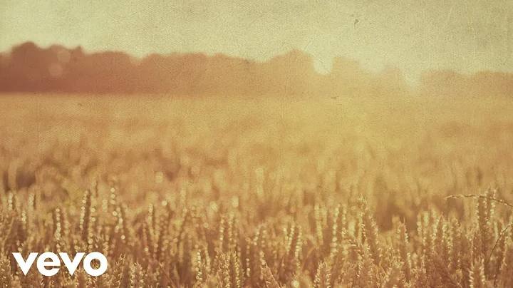 Michael Forster - Cornfield Chase