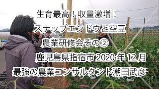 生育最高！収量激増！スナップエンドウと空豆農業研修会その②鹿児島県指宿市2020年10月最強の農業コンサルタント潮田武彦