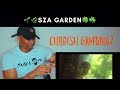 Sza - Garden (Say It Like Dat) (Official Video) ft Childish Gambino REACTION!!!