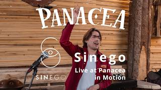 Sinego — Live at Panacea in Motion on May 9, 2026 | Graffland, Zurich