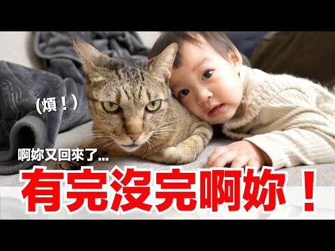 【好味小姐】有完沒完啊妳！｜好味貓日常EP127