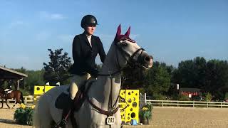Isaac Fig Newton | 2013 Dutch Warmblood