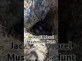 Jackpot! Morel Mushroom Hunt