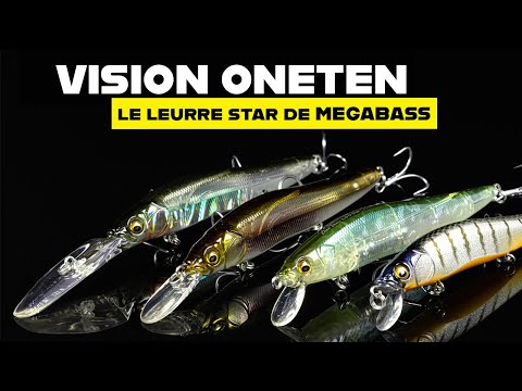 Leurre Sly Guy Replica Trout – Glidebait Truite, Coulant Lent, 4.5 Oz (neuf)