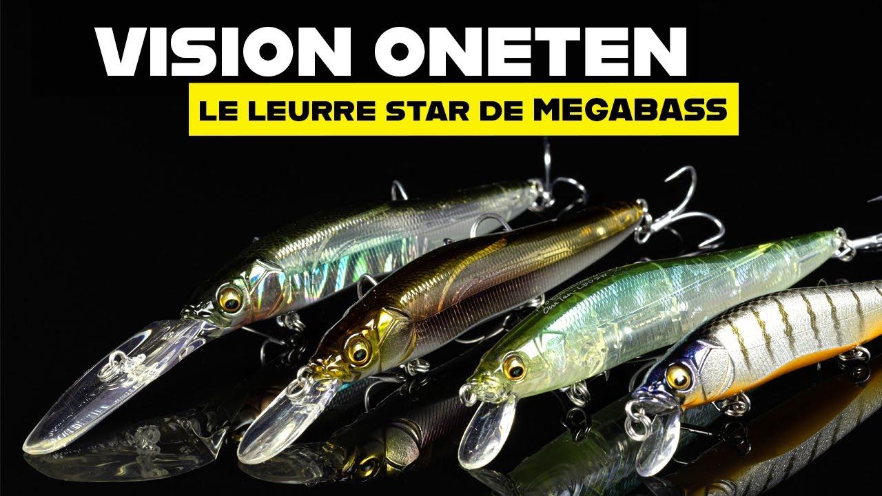 MEGABASS VISION ONETEN: everything you need to know about this