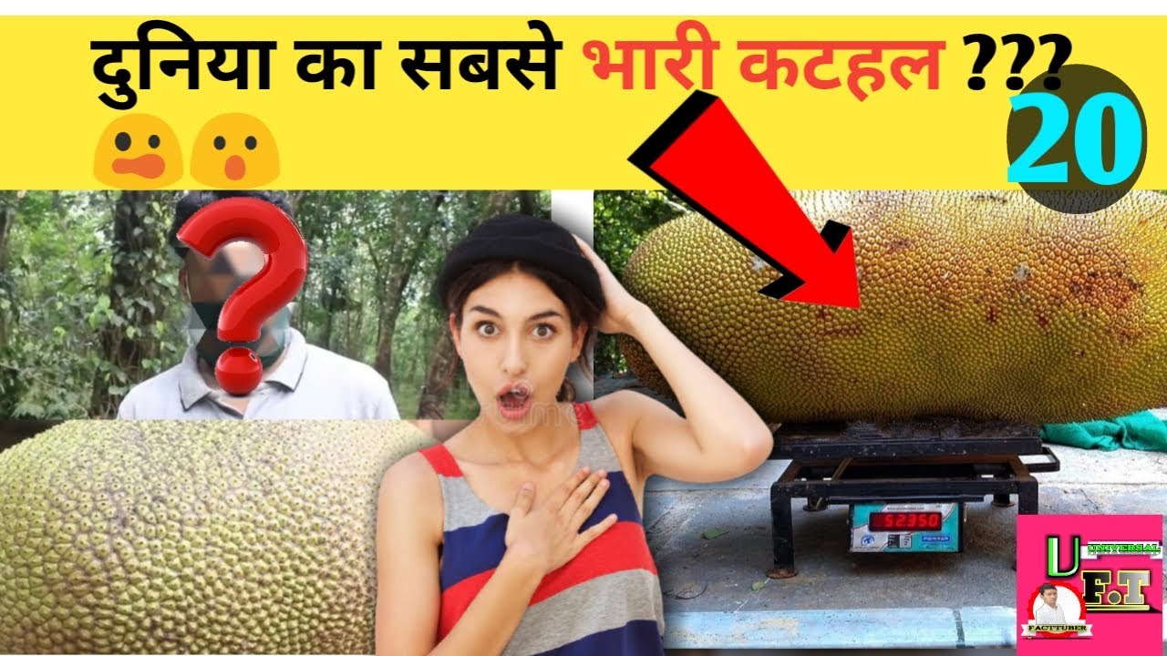 Heaviest jackfruit ever recorded new facts 2021 #amazingfacts #facts